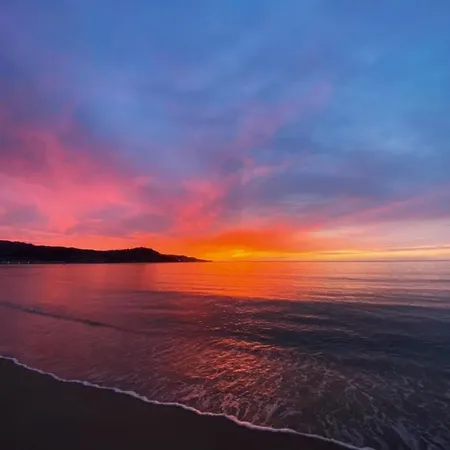 Leon Inmo Denise - 10414